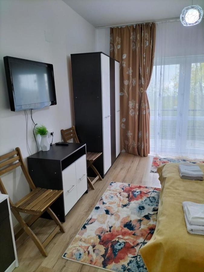 Hotel Conacul Doamnei Nucsoara Exterior foto