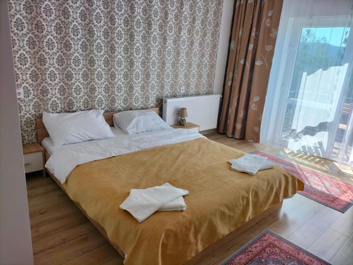Hotel Conacul Doamnei Nucsoara Exterior foto